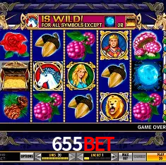 655bet Rio de Janeiro - Bonus Terms